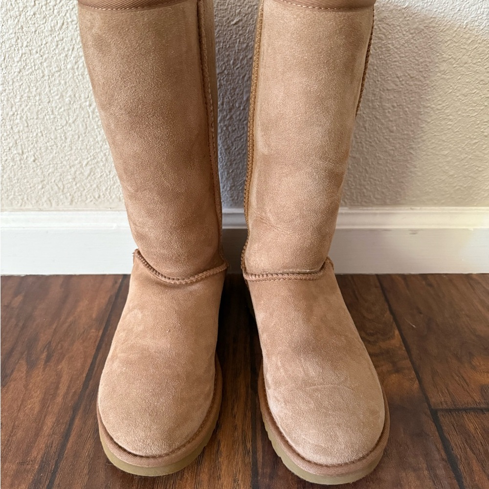UGG totally Chesnut Suede Winter Boots